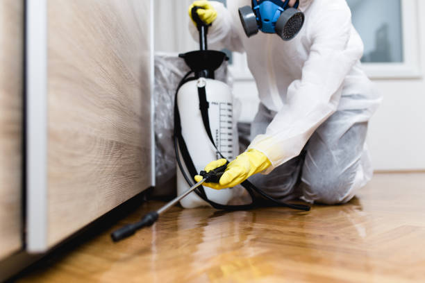 Best Pest Control Near Me  in St Joseph, IL