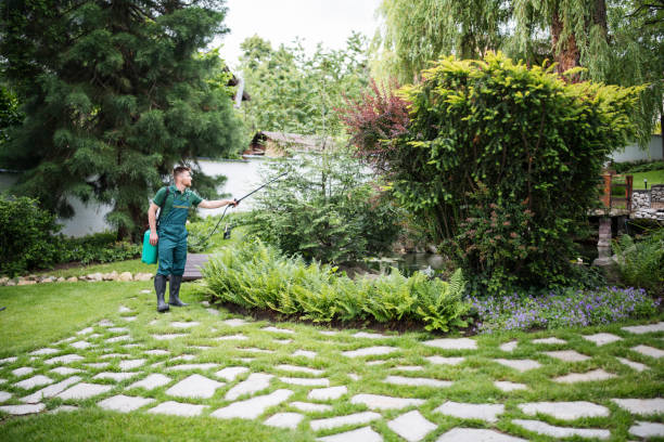 Trusted St Joseph, IL Pest Control Experts