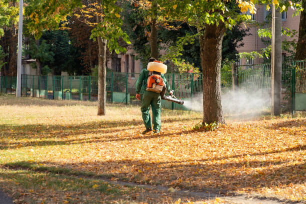 Best Affordable Pest Control Services  in St Joseph, IL